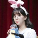 꼬꼬마이벤트 이미지