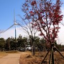 경인아라뱃길아라인천여객터미널 이미지