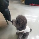 Y537호텔 이미지