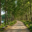 달천제방길 | [Day 68-오천 구간 5]괴강교 ~ 백로공원, 물길 따라 흐르는 평화로운 유람