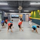 용인대 승리 태권도 이미지