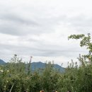 거창-남하-2 이미지