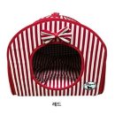 도그피아 이미지