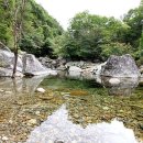 청산식당 이미지