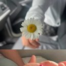 문정원