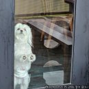 화동로R 네이버블로그
