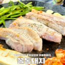 꼴통돼지 이미지