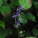 영남목장 이미지