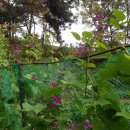 녹산농원 이미지