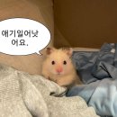 풀로진 | 겨울방학엔 좀 더 즐거운 일을 많이 하려고 했어요 !