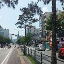 자애내과외과의원 이미지