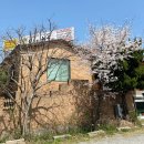 고촌 고기집 &#39;오늘도 한우&#39; 솔직후기 – 한우 모듬갈비살부터 꽃등심, 육회까지 제대로 먹고옴!