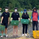 행복어린이도서관 이미지