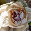 논현1동 주민센터 이미지