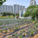 로뎀나무어린이집 이미지