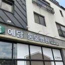 예담동물병원 | [육지거북/특수동물병원] 대전 육지거북 진료 가능한 예담 동물병원 진료 후기