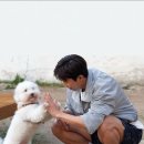 덕분에 잊고 지냈던 청춘의 회복❤️+댓글 🙏🩵 이미지