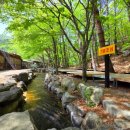 청도빛축제펜션 이미지