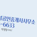 진성 공인중개사사무소 이미지