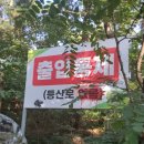 군산뷰좋은산, 선유도 신시도 대각산 후기 (노지캠핑, 차박 추천)