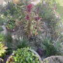 화창한약국 이미지