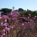 가현산낚시터 이미지