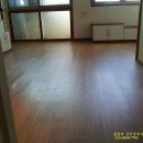 인화오벨리아 이미지