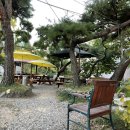 터틀하우스 이미지