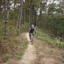 부여(임천)-14 이미지