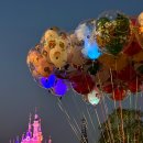 샹하이탄 | [상하이여행] 8편- 상하이디즈니랜드 2개 탄 후기ㅠ (알리 가격)