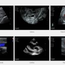 미르 동물병원 이미지