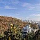 10/09(금) 봉제 여유로운[또한그리고대장님] 이미지