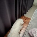 누구나홀딱반한닭(상주점)