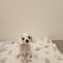 바다미용실 이미지