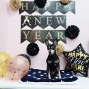 왈왈미용실 이미지