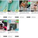 커비동물병원 이미지