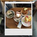 밀키스테이 | 죽전 보정동 감성카페 스테이 어도러블 쑥인절미 케이크 내돈내산 후기