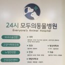 24시 모두의동물병원 | 광명 하안동 24시 동물병원 모두의동물병원 고양이 건강검진 건강체크 예방주사