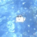 LCT마루공인중개사사무소 | 2월의 당연한 하루。.:* (1)