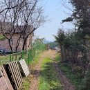 금옥(광산구) 이미지