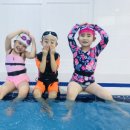 (주)하비엘럭스 네이버블로그