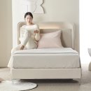 나무텍 | 나무 침대 대신 위니 LED 아쿠아텍스 패브릭 침대 프레임 선택한 후기 🛏️✨