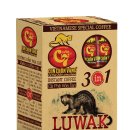 채움기프트 | [나트랑 여행 ] 1일차 시내 뿌시기! ✨️ 슈렉/악어집 / 65번과일가게 /롯데마트 위치 &amp; 찐추천템 총정리