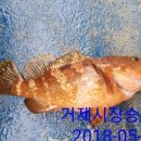 (주)다호 이미지