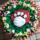 멍냥이꼬 이미지