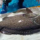 대왕수산 이미지