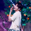 스틸뱅크 이미지