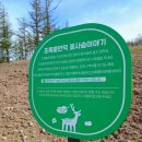 꿈벌사슴목장 | [건강 생활] 0419 초록 뿔 언덕 사슴 목장