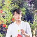 자연가득건강즙