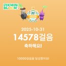 삼월황 네이버블로그